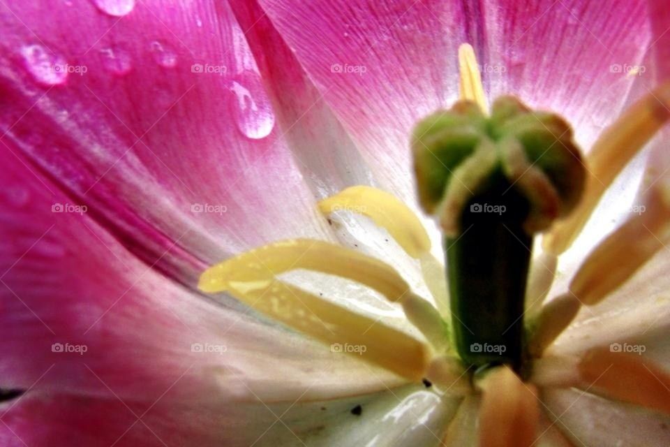 Spring Time in Wisconsin