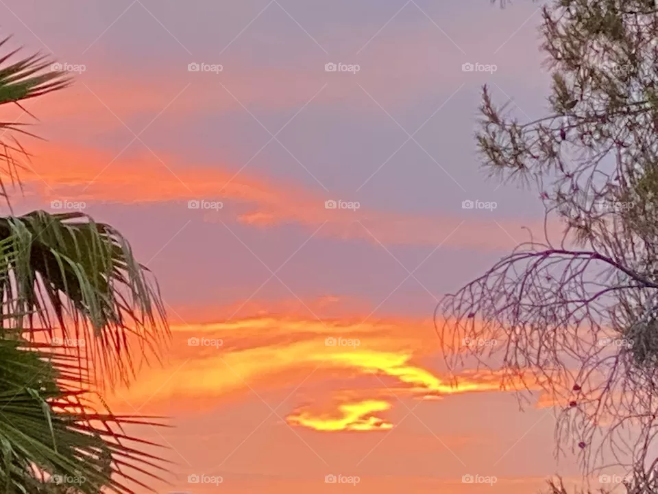 Sunset 