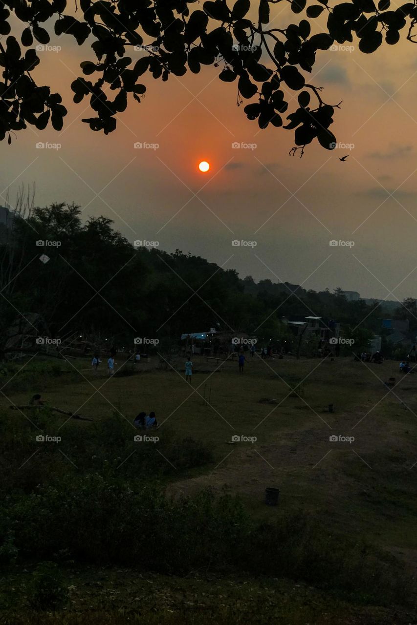 The sun is visible on the western horizon from a wide field. Sun. Late afternoon. Dusk. Afternoon. Field. Tree. Silhouette. Photography. Scene. Scenery. Tranquil scene. Hill. Cloud. Sunlight. Light.