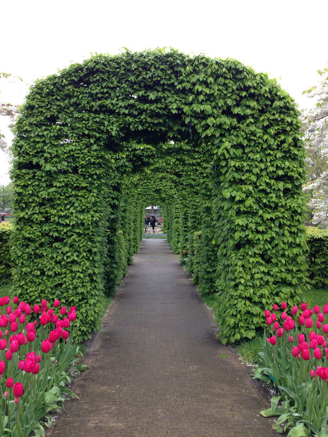 Arch