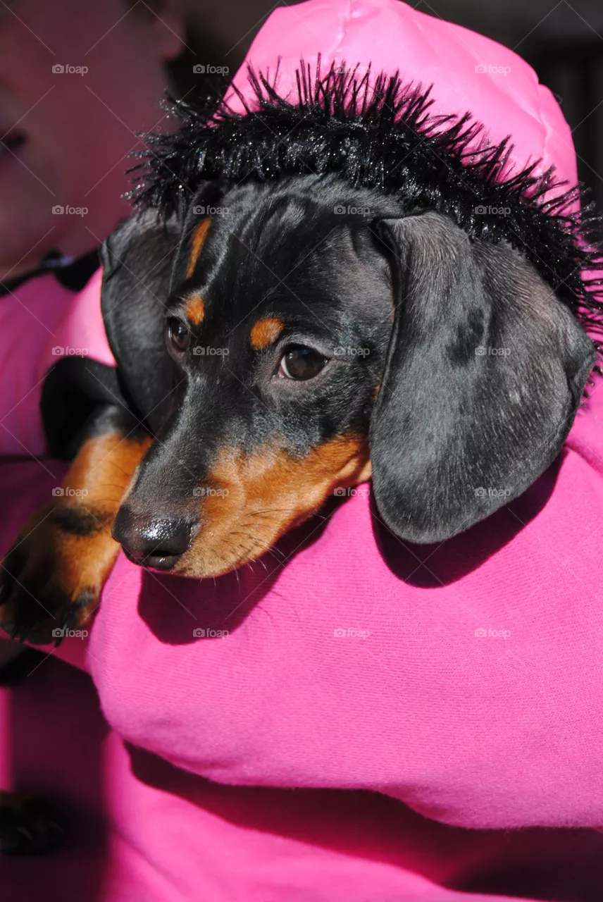 Lilly