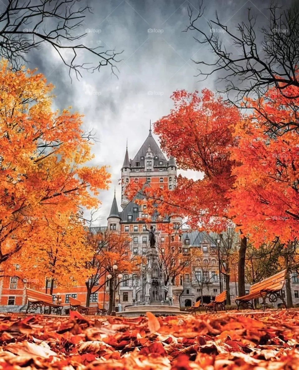 Autumn 