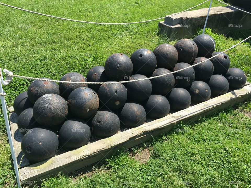 Grass, Summer, No Person, Garden, Nature