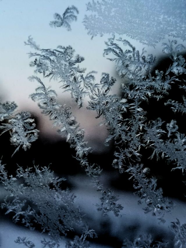 Nature winter