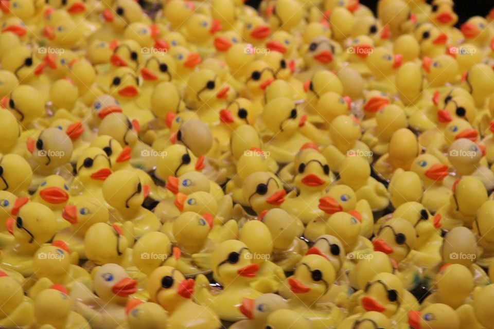Rubber Ducks