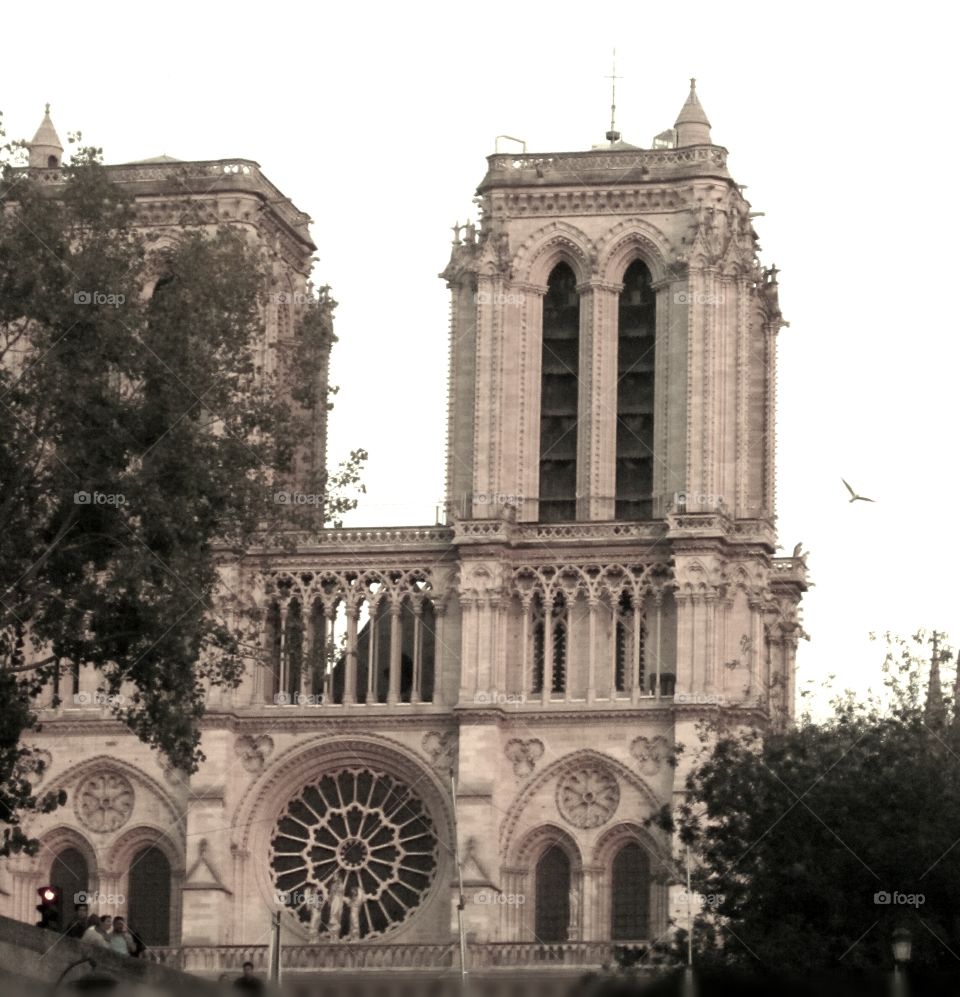 Notre Dame ~Paris France