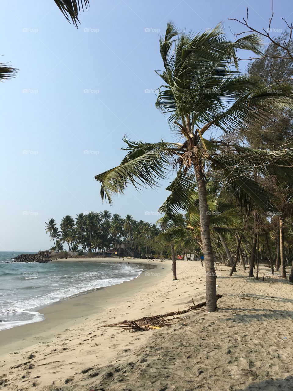 Tropical beach in Kerala, India.