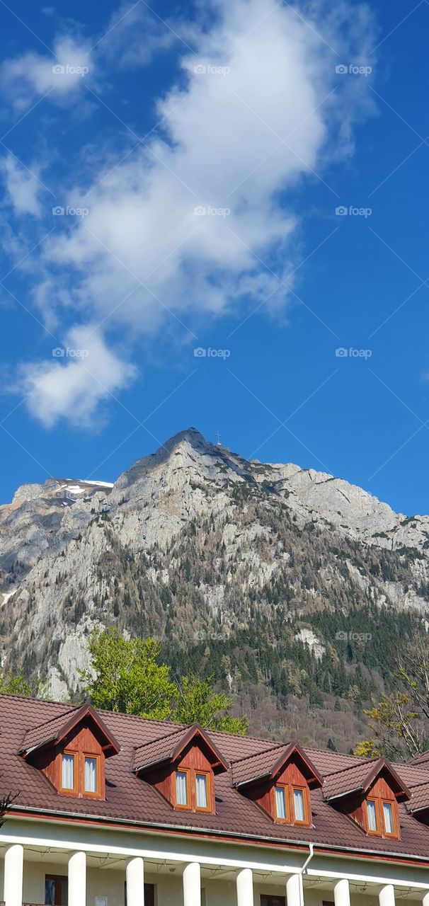 Carpathian mountains