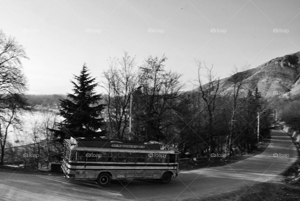 bus