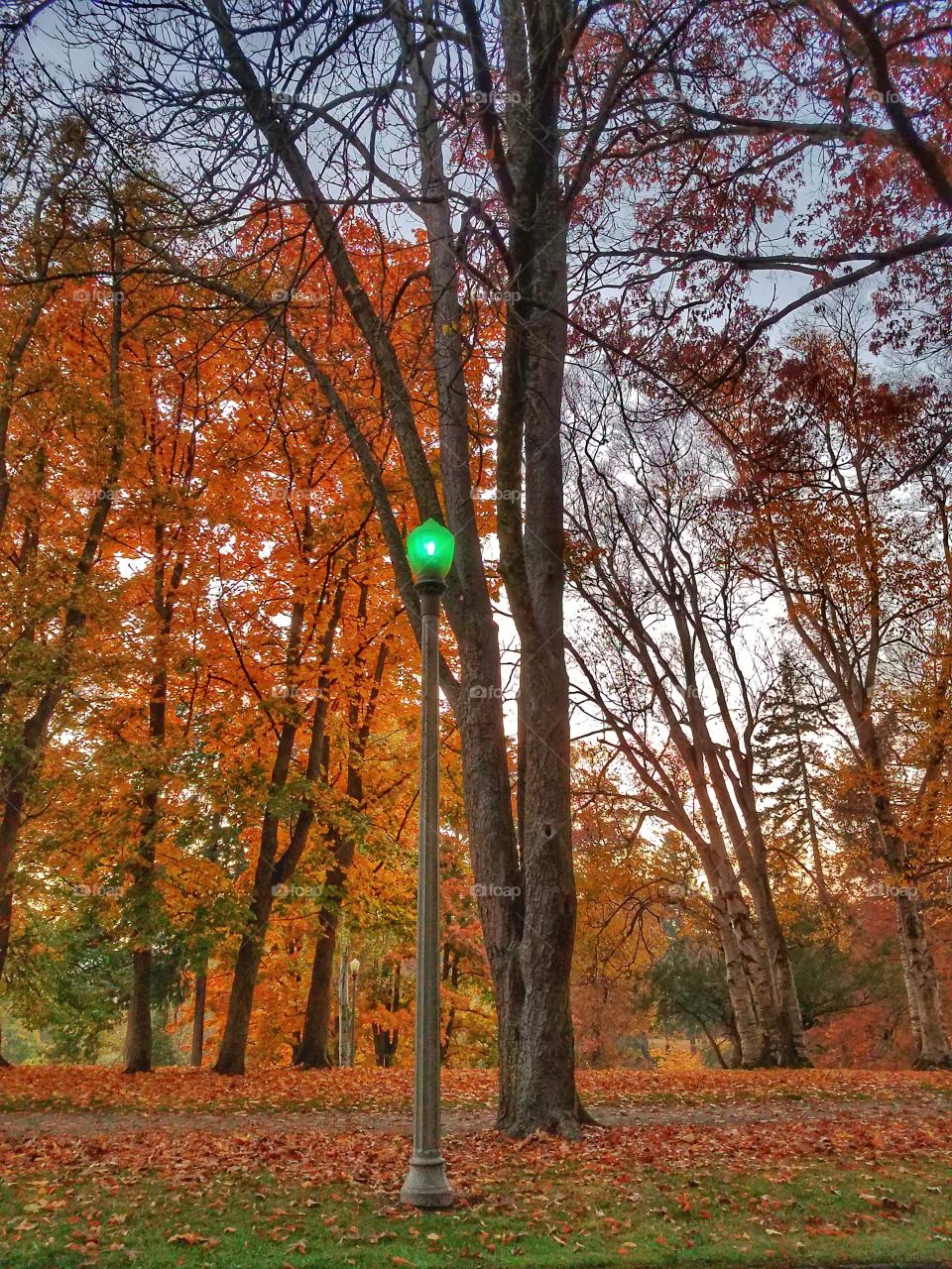 Green Street Lamp in the Park