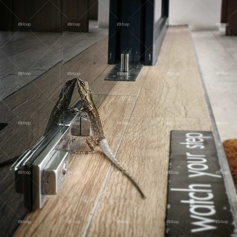 Open the door, please