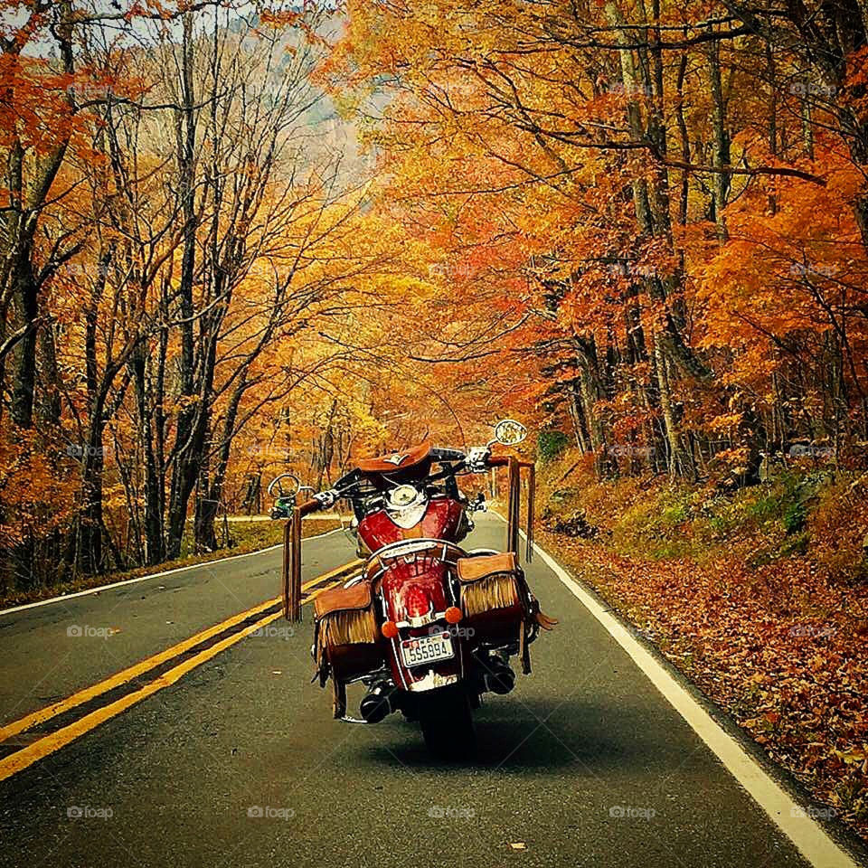 Indian Motorcycle On Fall Highway