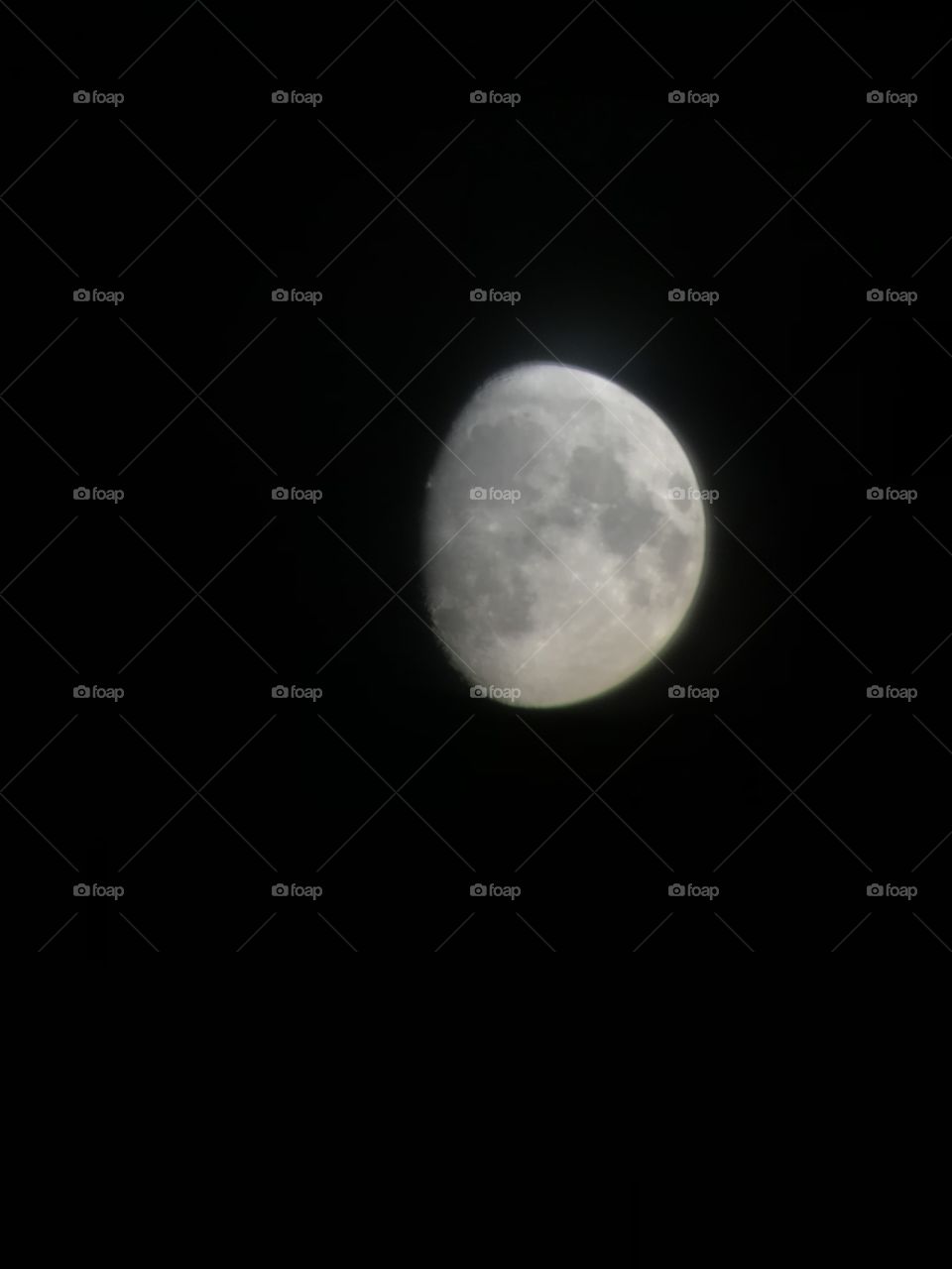 The moon in the night.