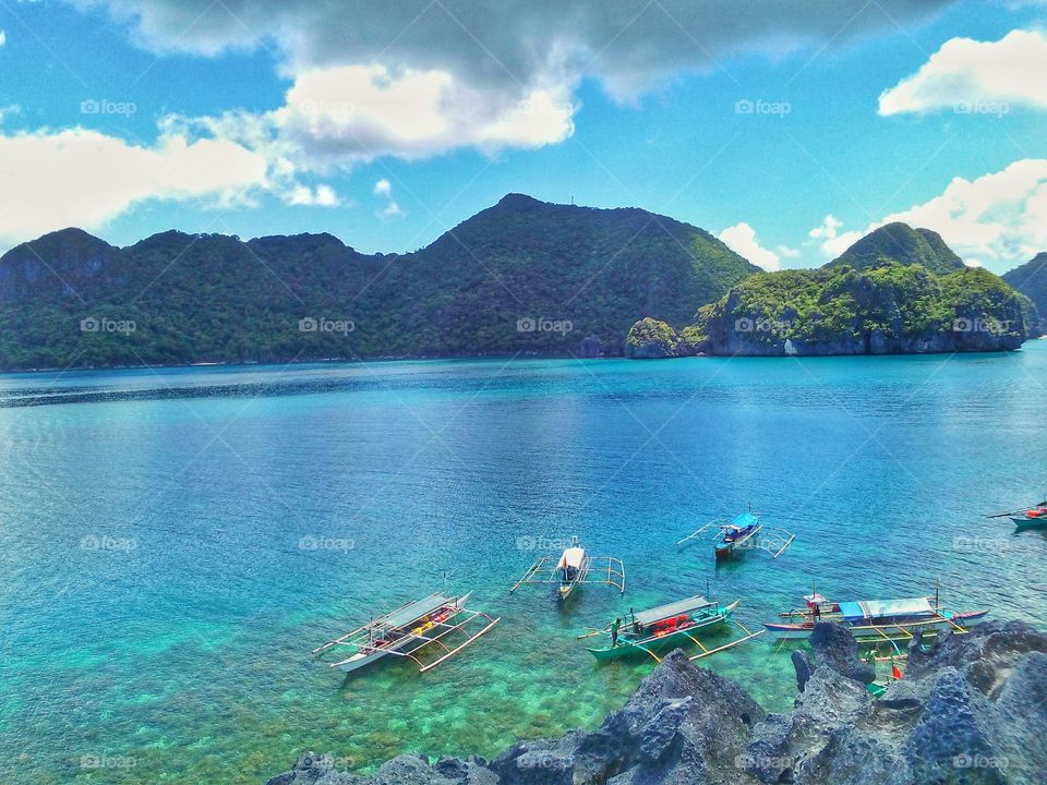 Captivated by Nature ❤️