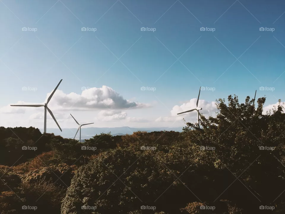 Windmill 