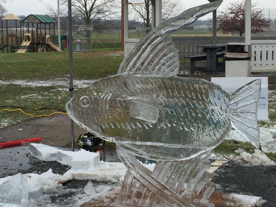 Fish ice sculpture