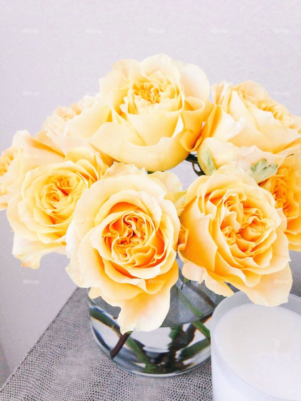 Yellow Roses