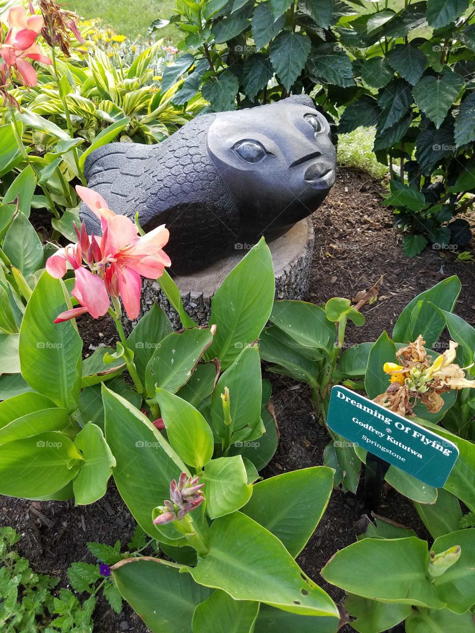 Nature, Flower, Garden, No Person, Leaf