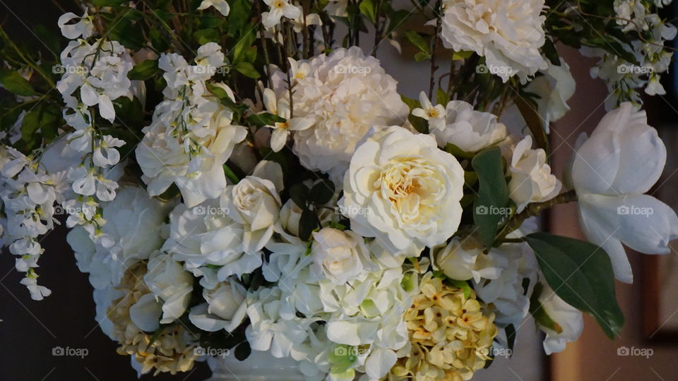 Flower, Rose, Flora, Bouquet, Nature