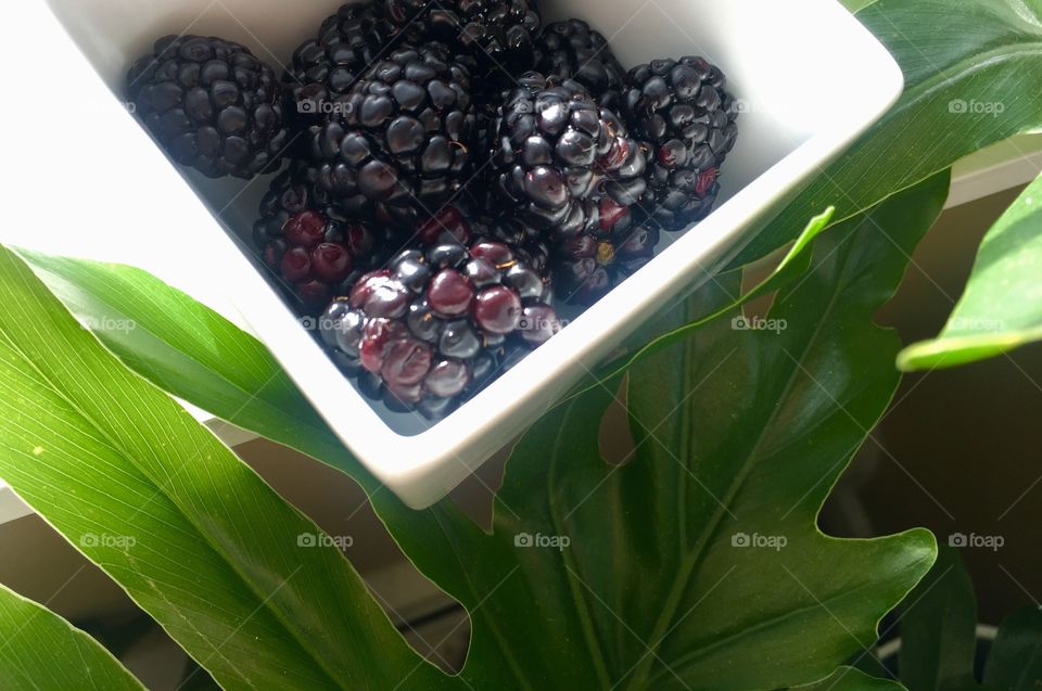 Blackberries