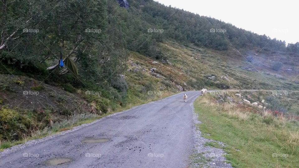 The rough nature in Norway