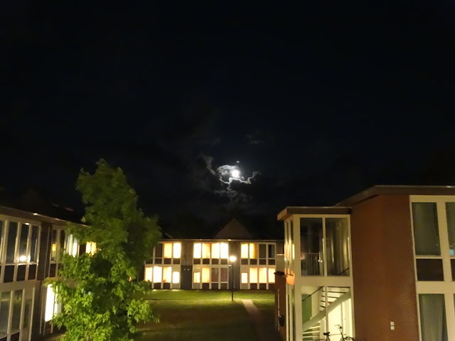 beuatiful night