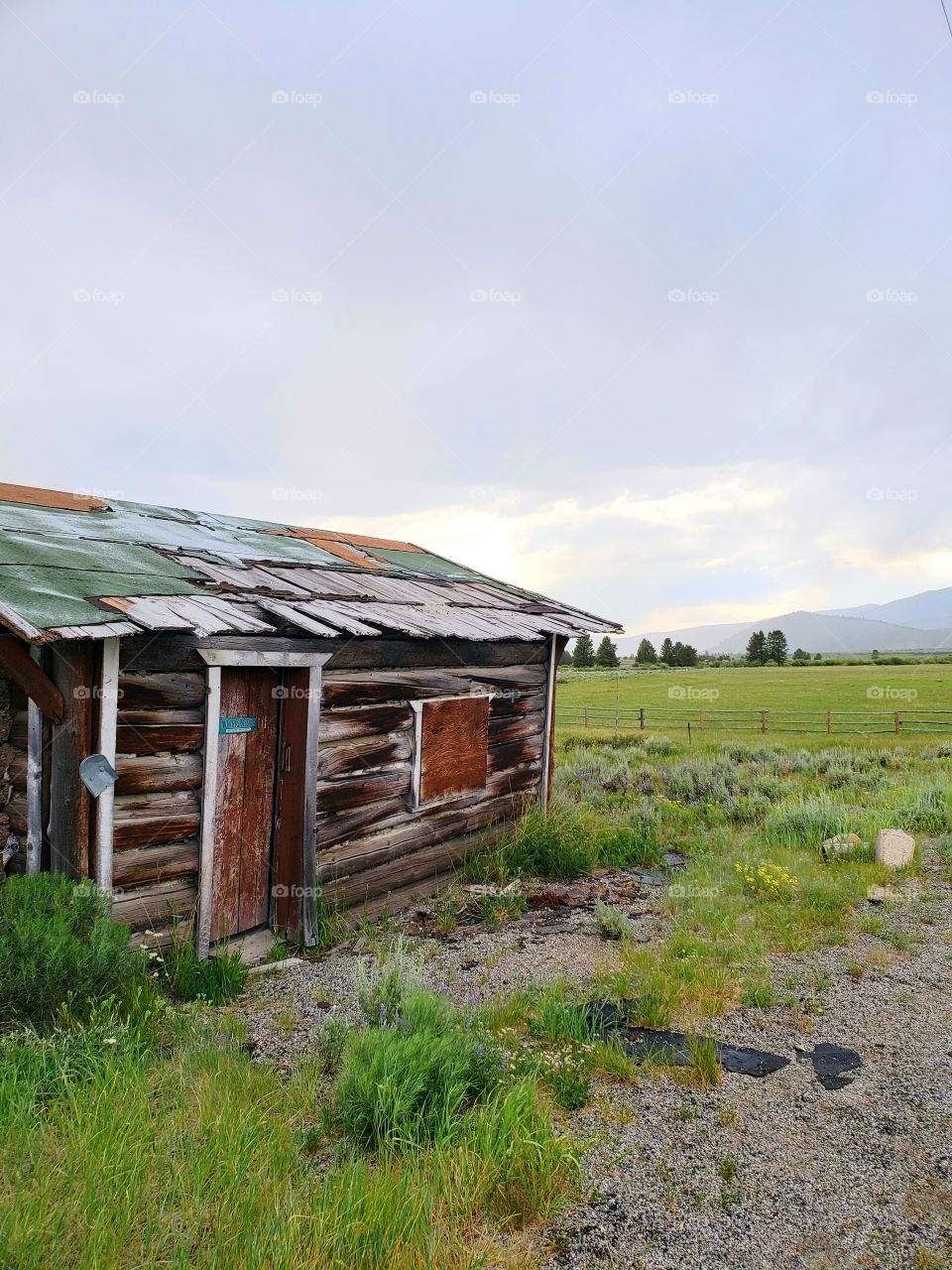 Idaho 1800's shack wilderness