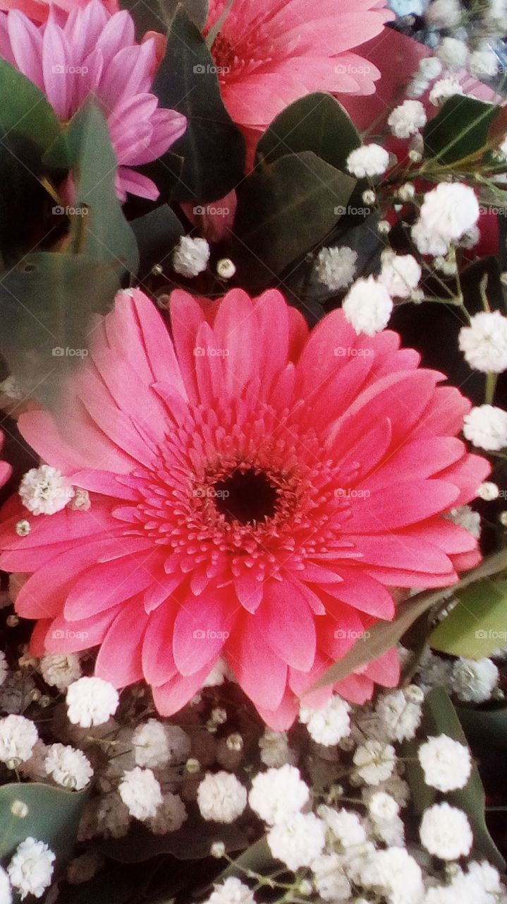 Pink blomming flower in bouquet