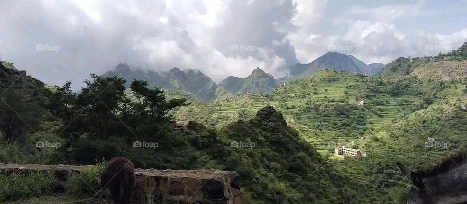 Glory be to God, the magnificent and picturesque view and the natural green trees are a view that is nothing more wonderful than it