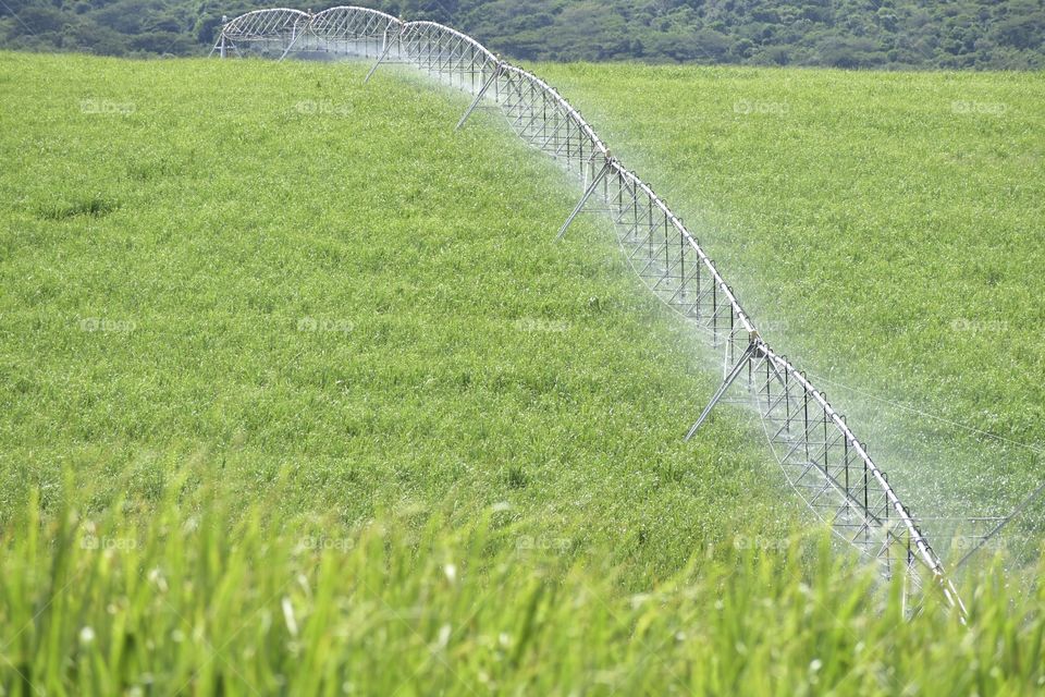 Combating Drought Through Irrigation. South Africa
