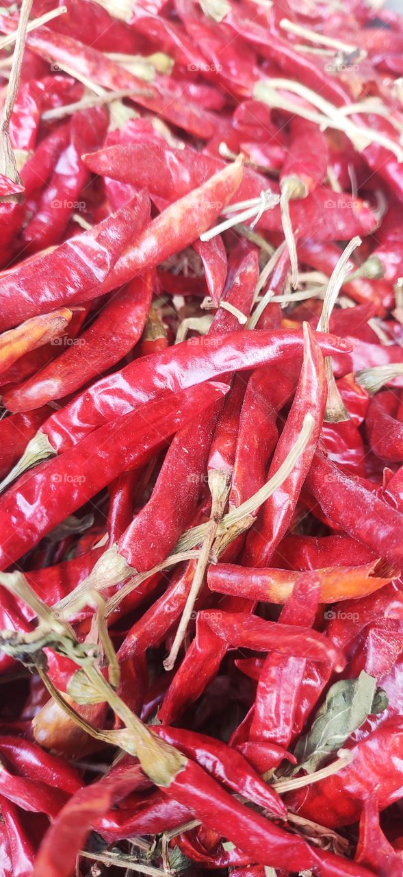 Indian dry Chilli