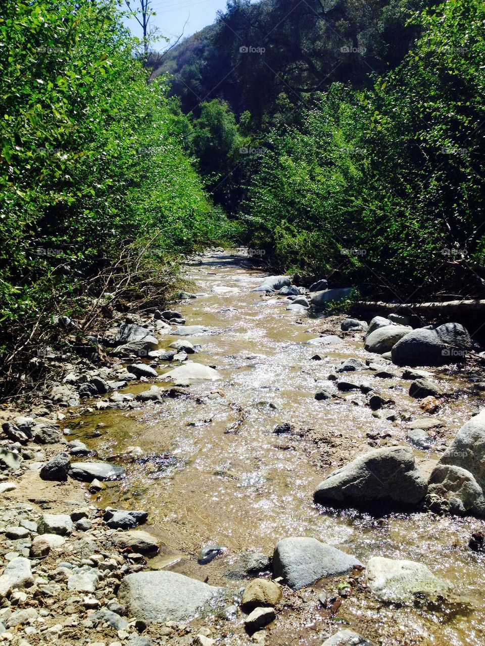 Arroyo Seco Creek