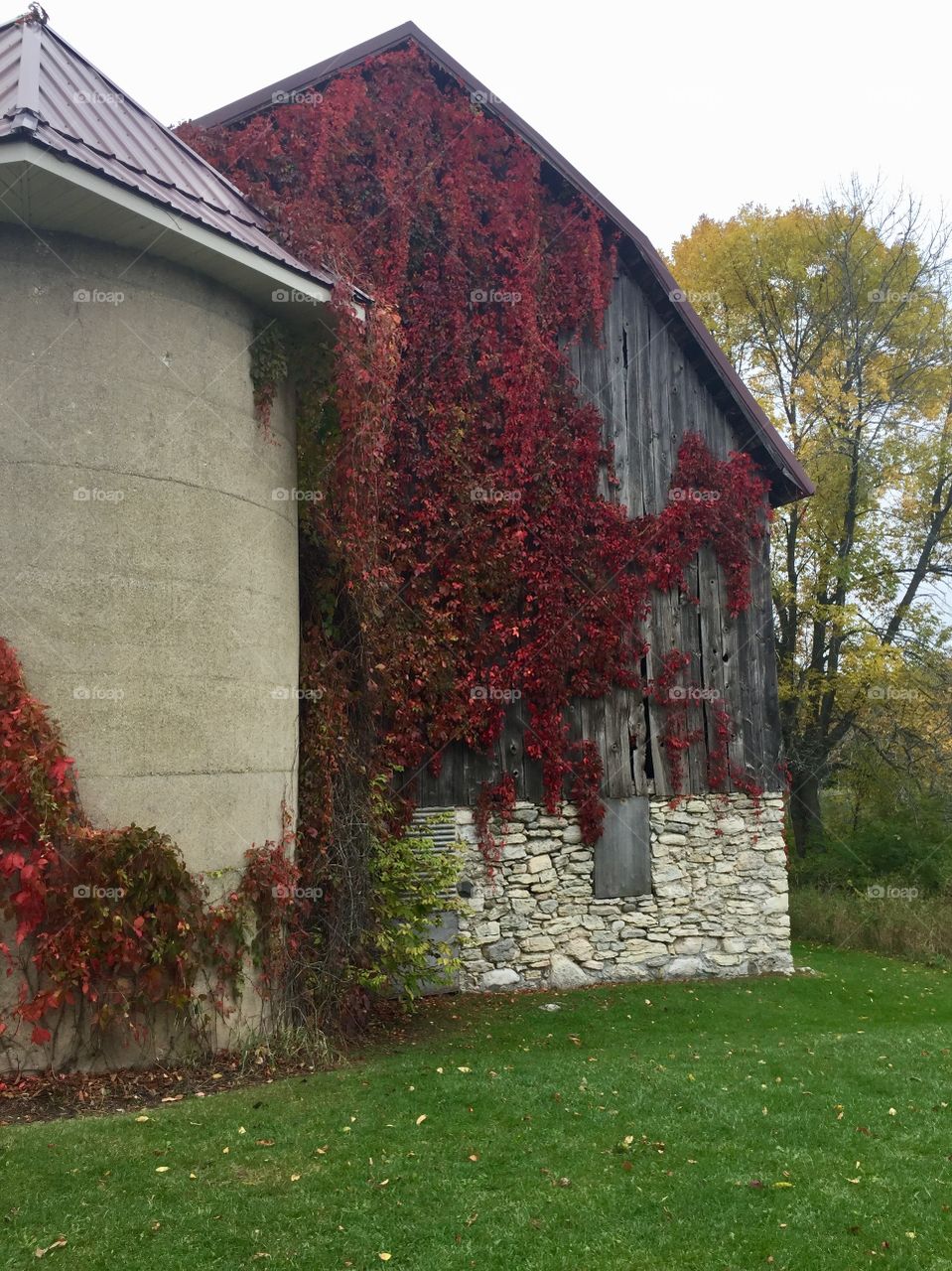 Wisconsin barn in the fall