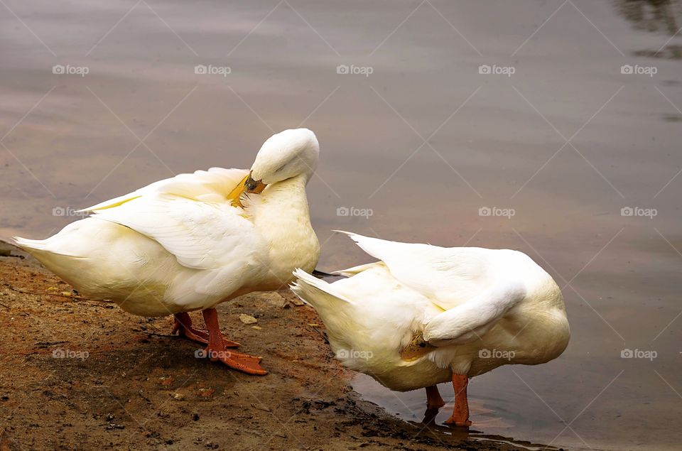 Synchronized cleaning 