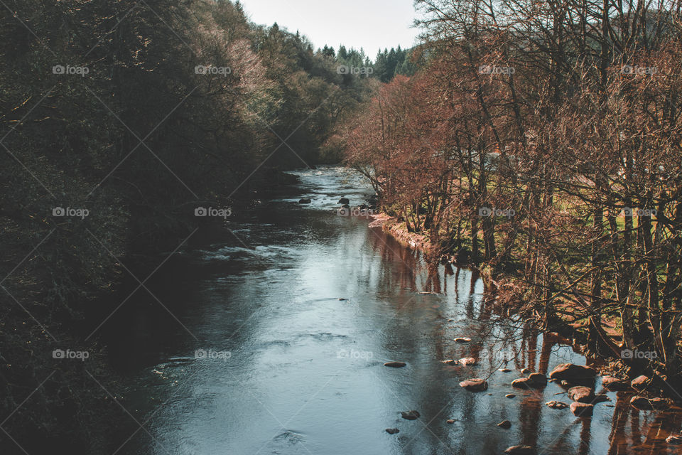 River Braan from Inver Bridge