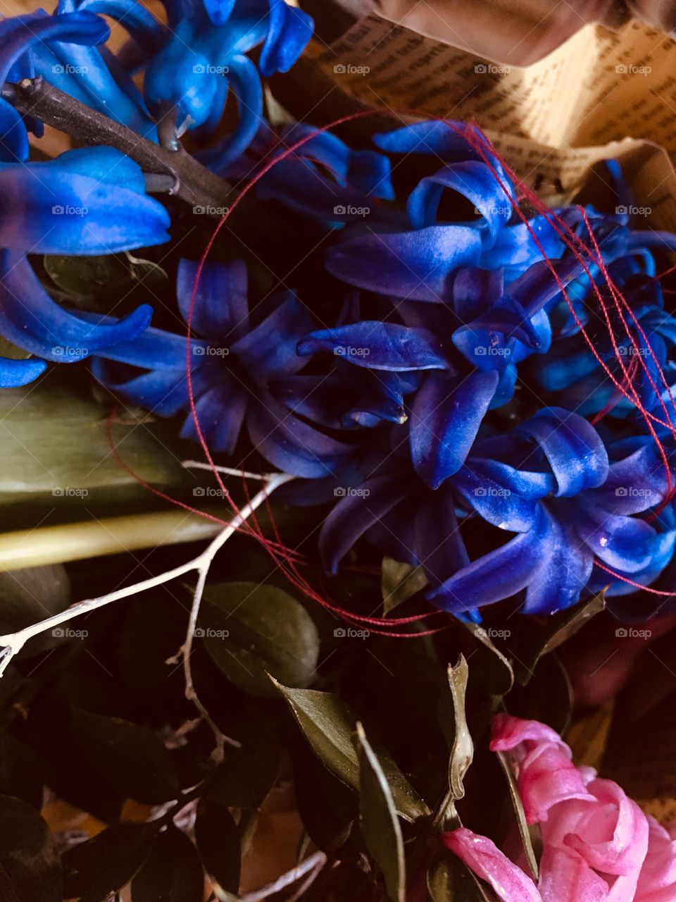 Blue flower 