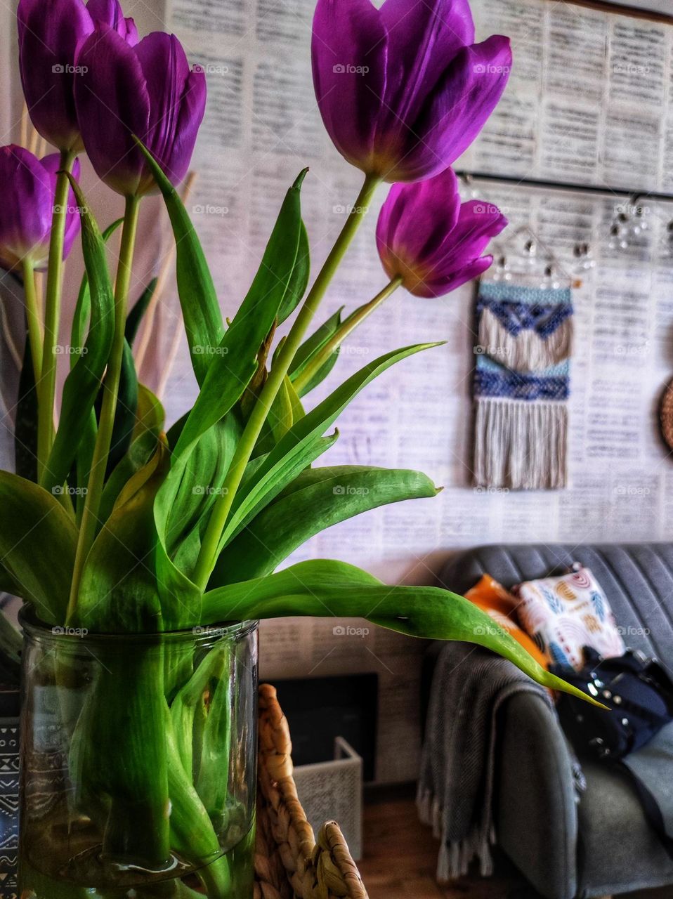 A beautiful photo of purple spring tulips in vibrant colours in a glass vase with a beautiful background of a home