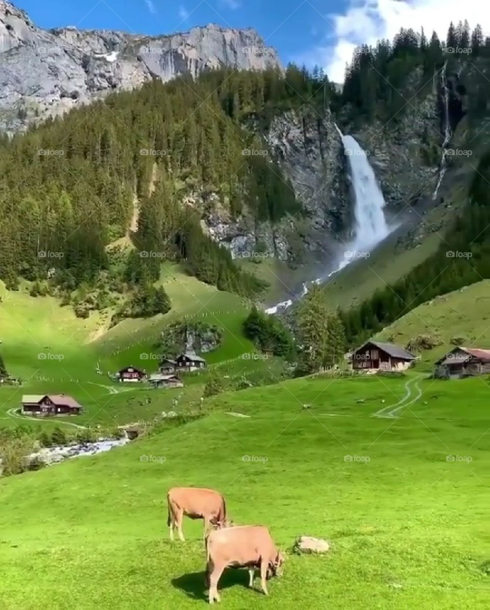 Switzerland
