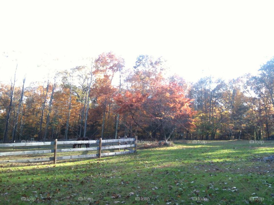 Fall countryside