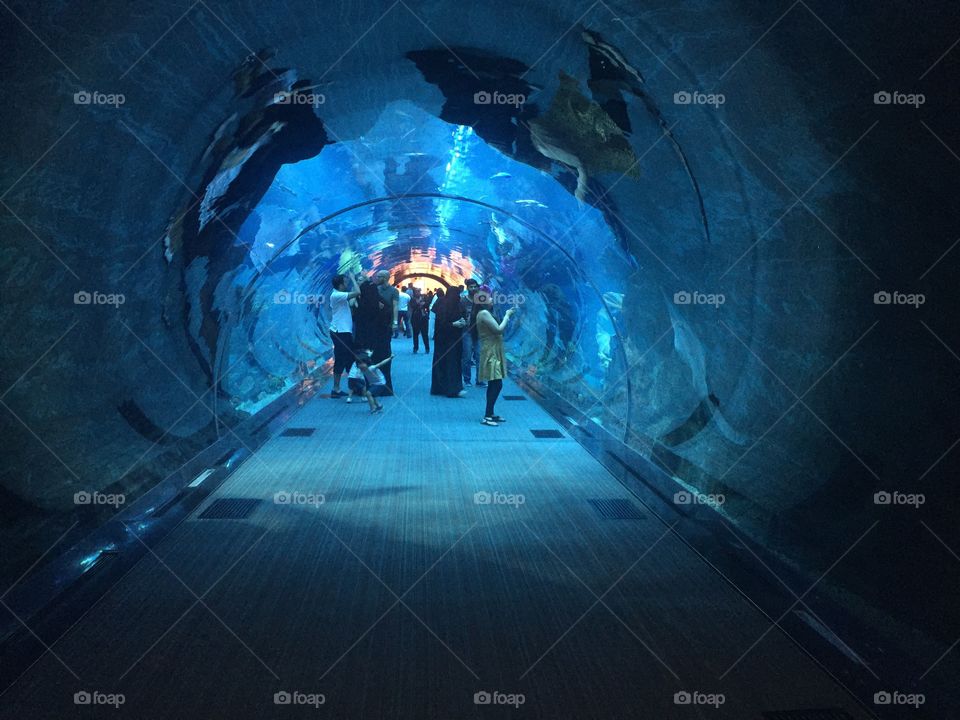 Amazing tunnel 