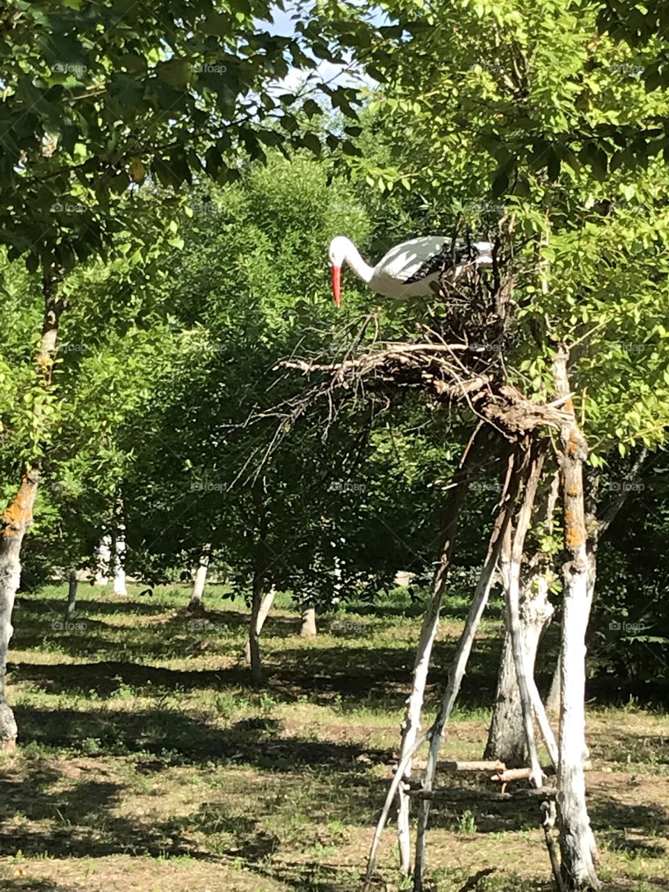 mock heron in the nest
