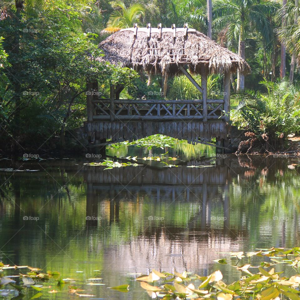 Tiki hut