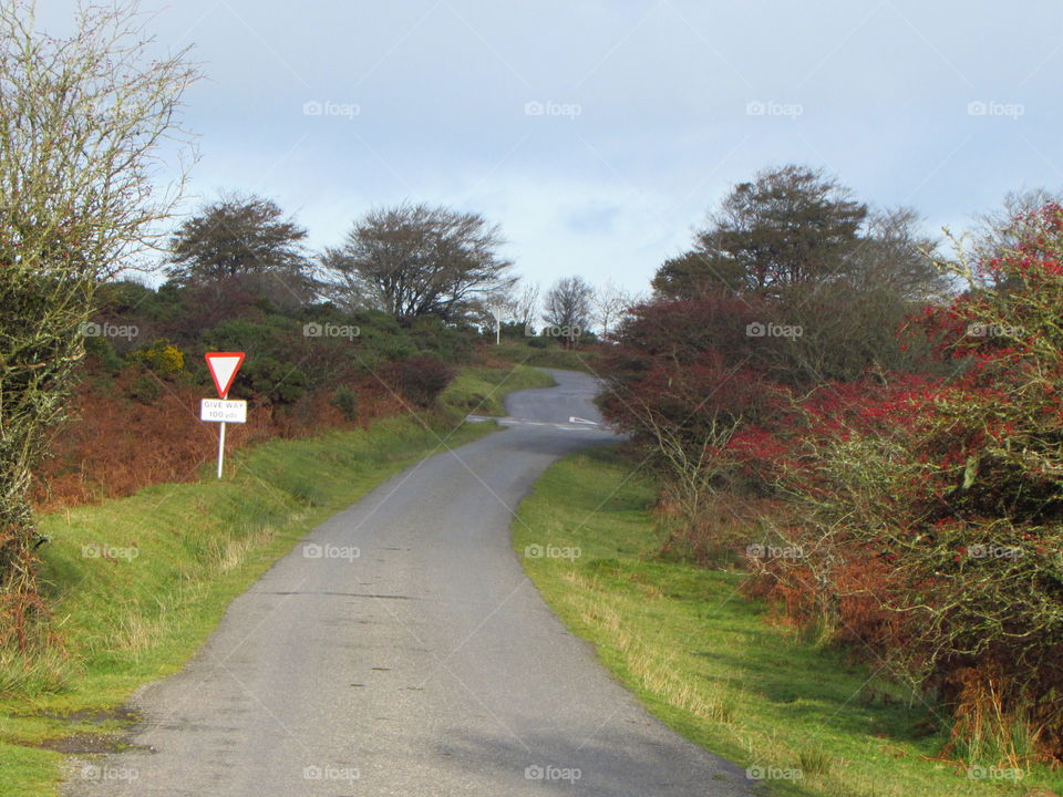 I take the road to the right at this junction to go home