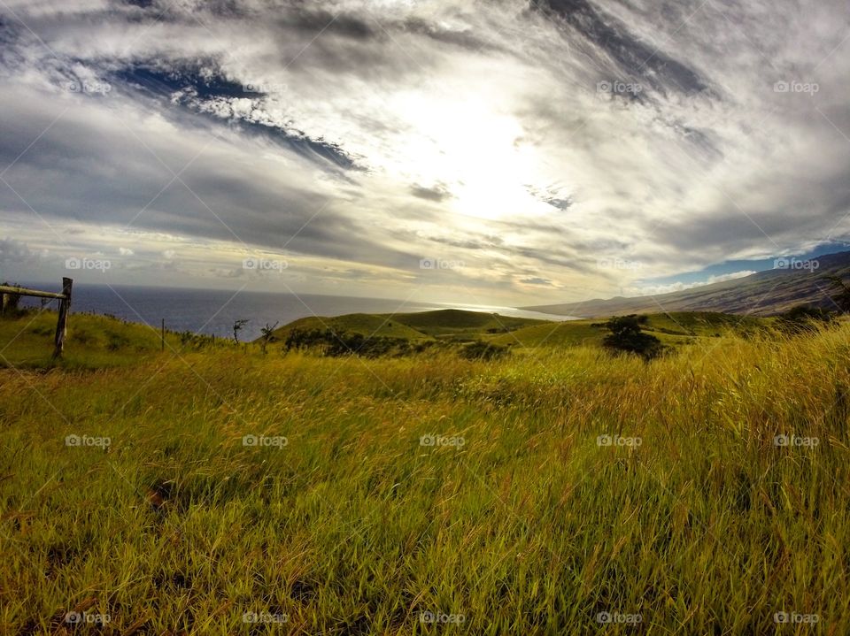 Grass lands in Maui 