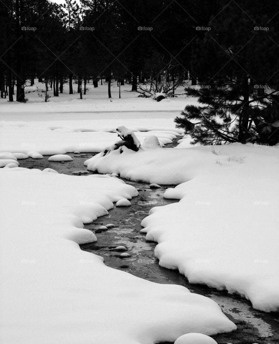 Creek through the snow