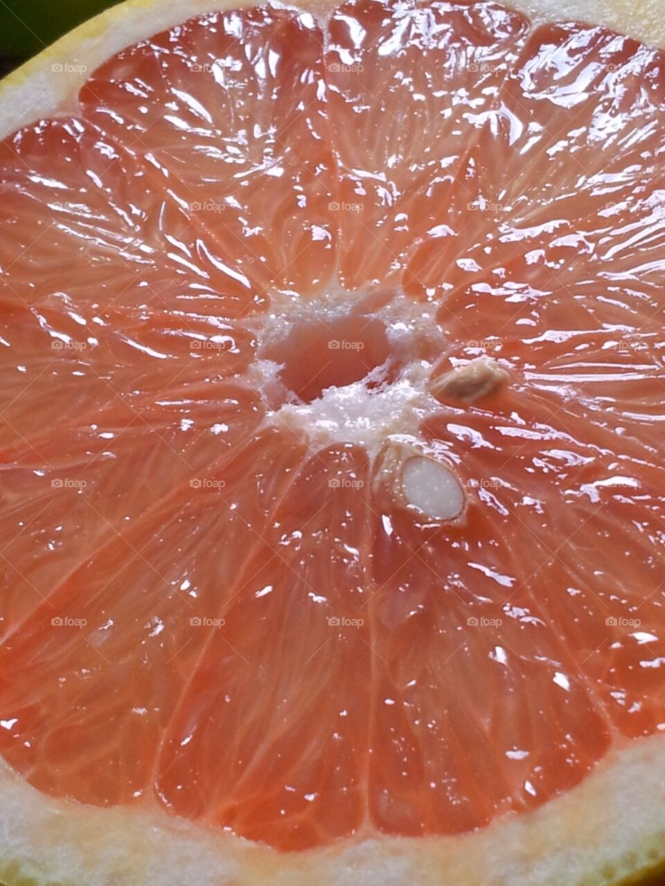 Fresh grapefruit
