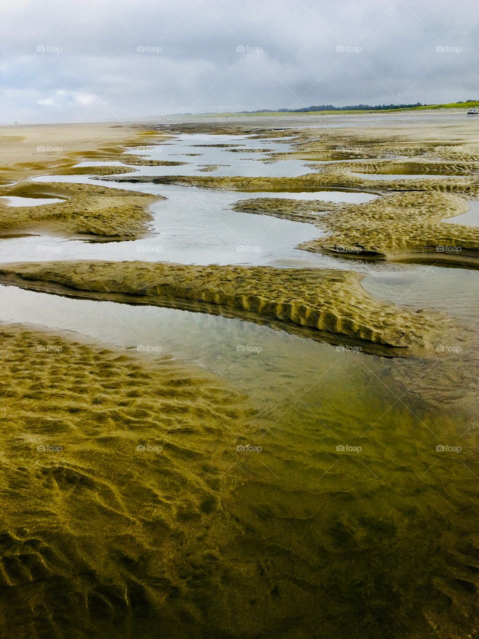 Tide pools 4