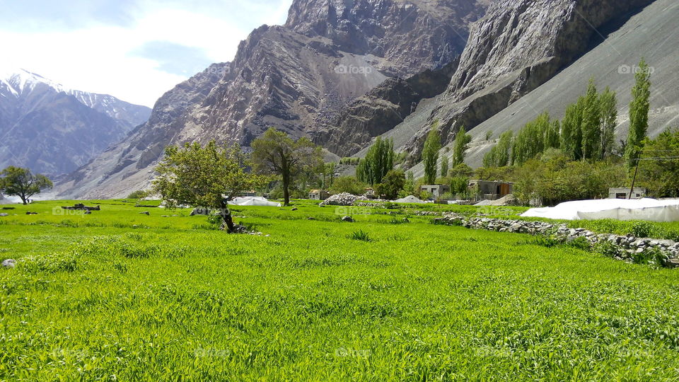 A beautiful scene of a village in Leh Laddakh called Bongdang Located in state of India Kashmir.