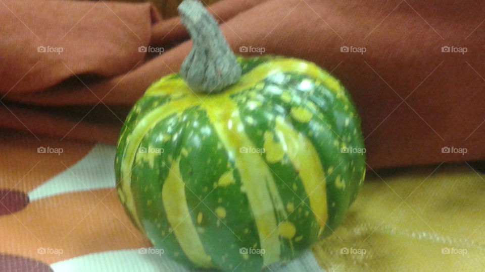 Green Gourd