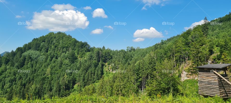 Nationalpark Kalkalpen